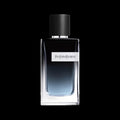 YSL Cologne